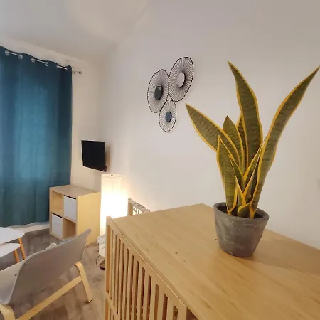 Apartment Centre-ville - Gare - Jardin Wilson - Chateau Bourbon *