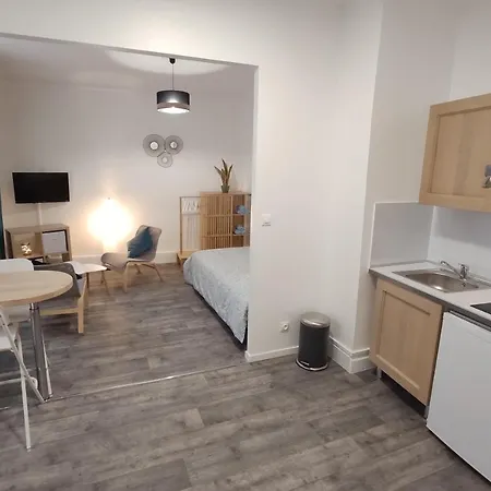 Centre-ville - Gare - Jardin Wilson - Chateau Bourbon Apartment *