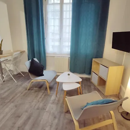 Centre-ville - Gare - Jardin Wilson - Chateau Bourbon Apartment