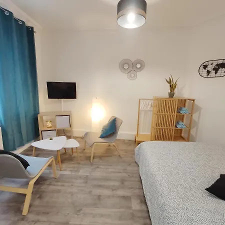 Apartment Centre-ville - Gare - Jardin Wilson - Chateau Bourbon *