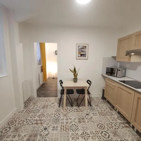 Centre-ville - Gare - Jardin Wilson - Chateau Bourbon Apartment *