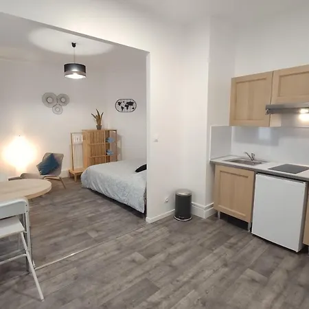 Apartment Centre-ville - Gare - Jardin Wilson - Chateau Bourbon *