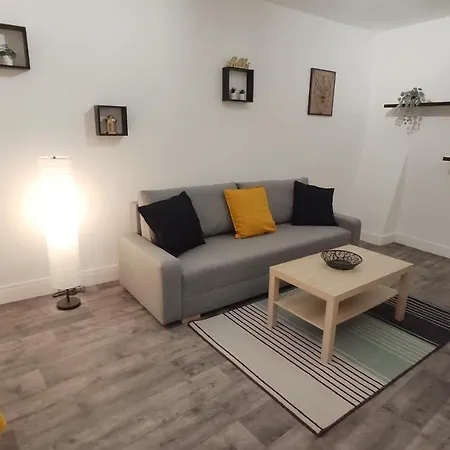 Apartment Centre-ville - Gare - Jardin Wilson - Chateau Bourbon *